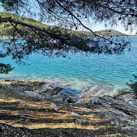 Villa Long Island Luxury Residence, Sali Dugi Otok-Private Parking,Next To Beach Εξωτερικό φωτογραφία